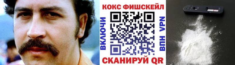 Купить где  Абинск  КОКАИН Fish Scale 