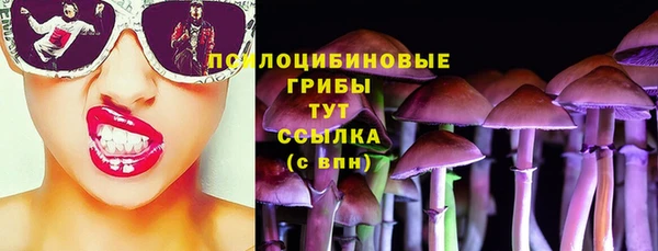 амф Сосновоборск