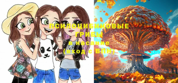 бутик Снежногорск
